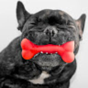 Meet your Posher, Brian t.